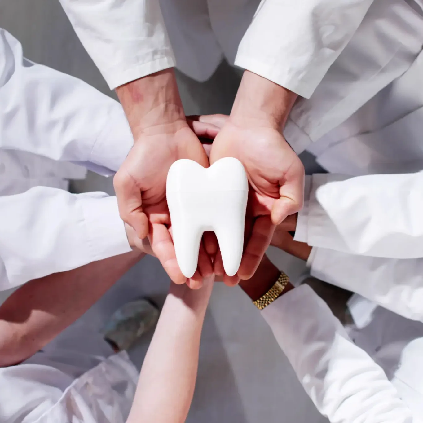 87f6e6ba-3e96-4806-8dac-0f7af049b4ba